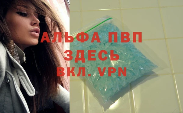 ECSTASY Богородск