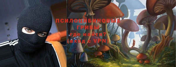 а пвп мука Богданович