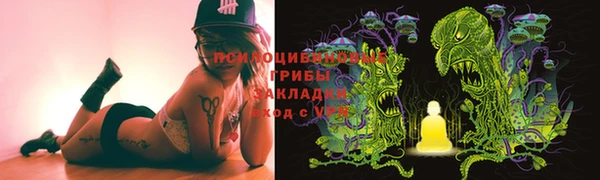 ECSTASY Богородск