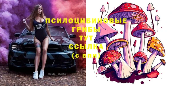 ECSTASY Богородск