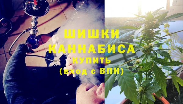 ECSTASY Богородск