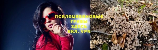 ECSTASY Богородск