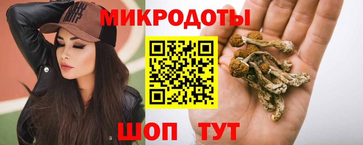 закладка  Галлюциногенные грибы Psilocybe  Вход с VPN  Буйнакск 